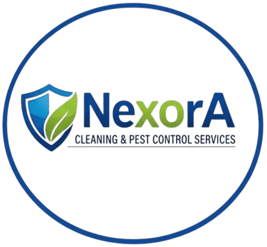 Nexora Logo
